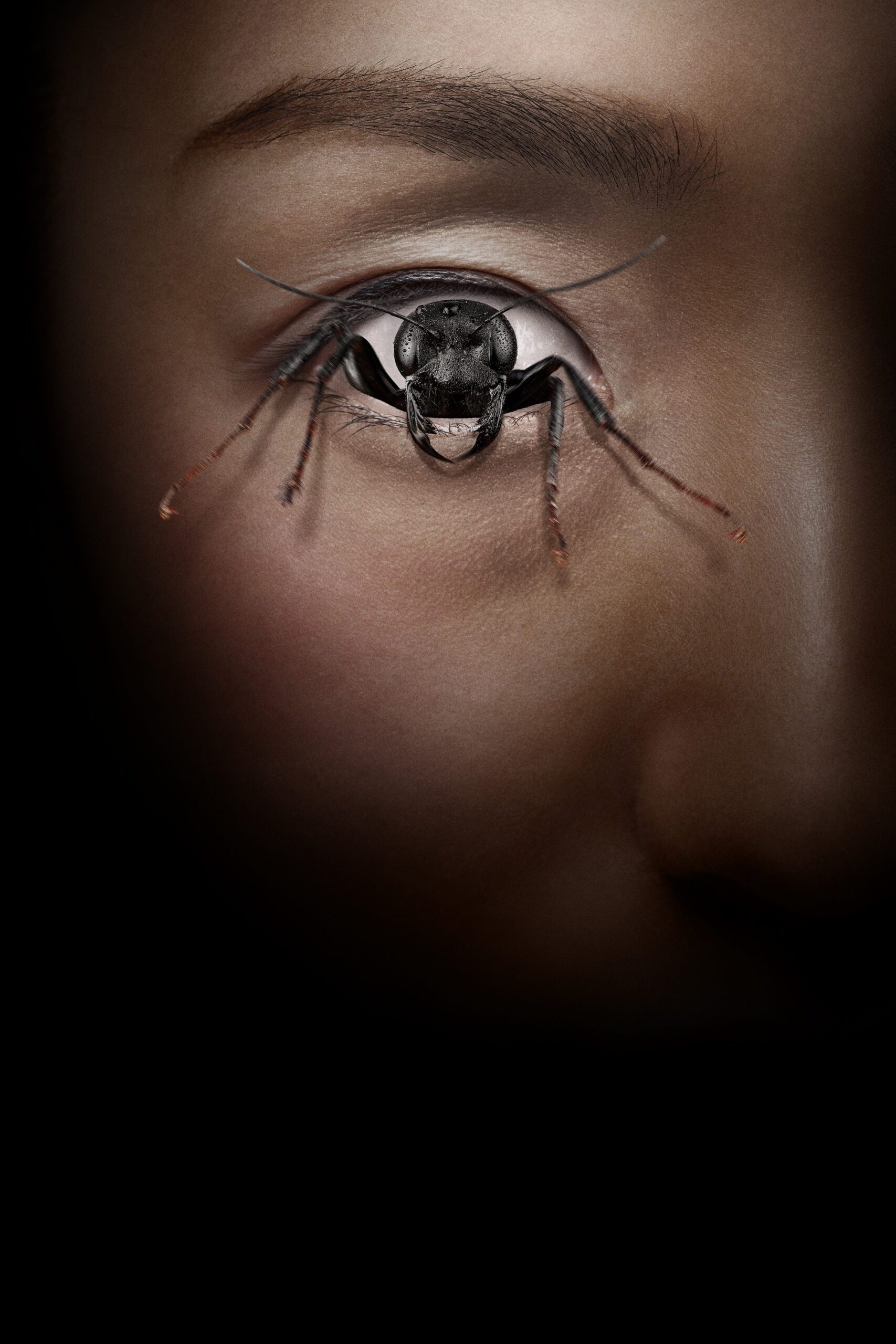 کنترل گر افراطی (Control Freak)