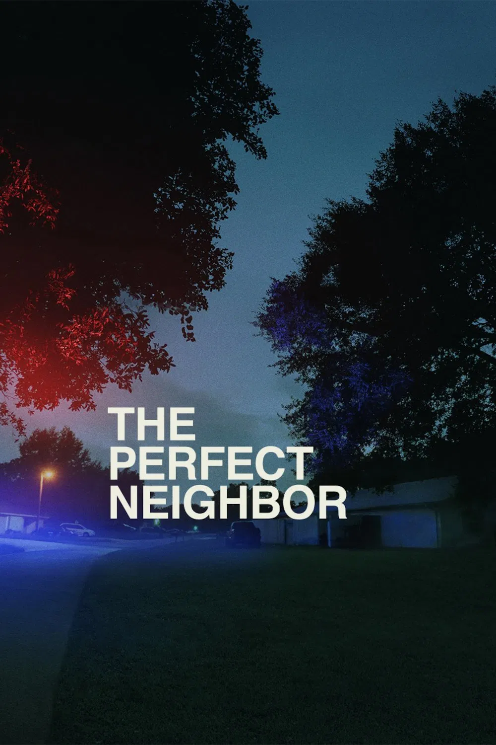 همسایه‌ بی نقص (The Perfect Neighbor)
