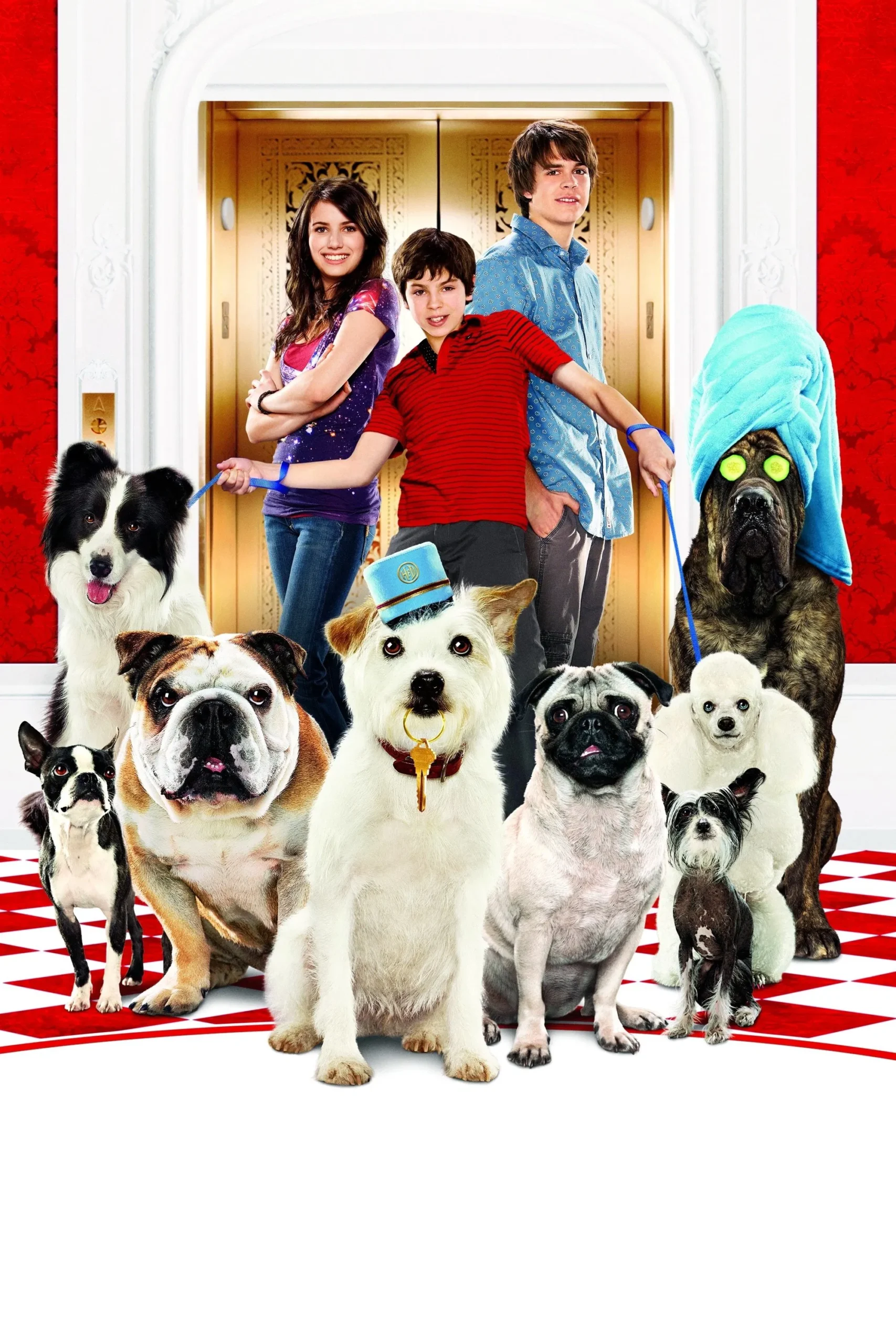 هتلی برای سگ‌ها (Hotel for Dogs)