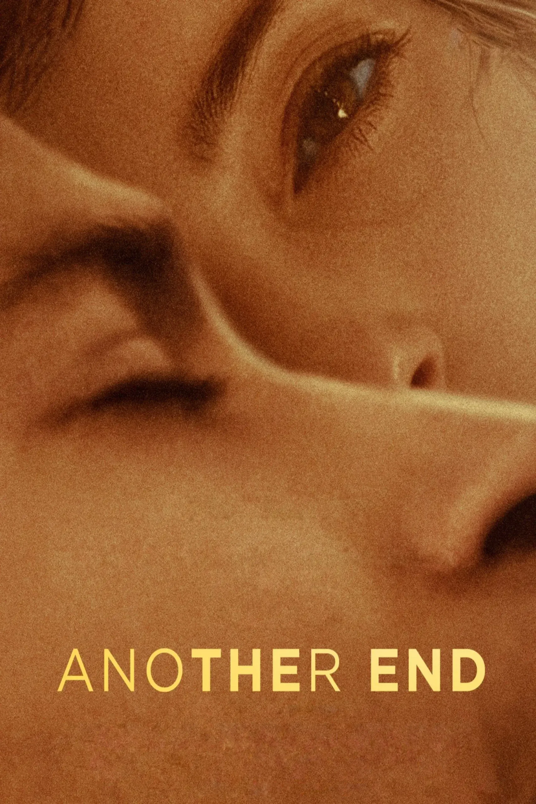 پایانی دیگر (Another End)