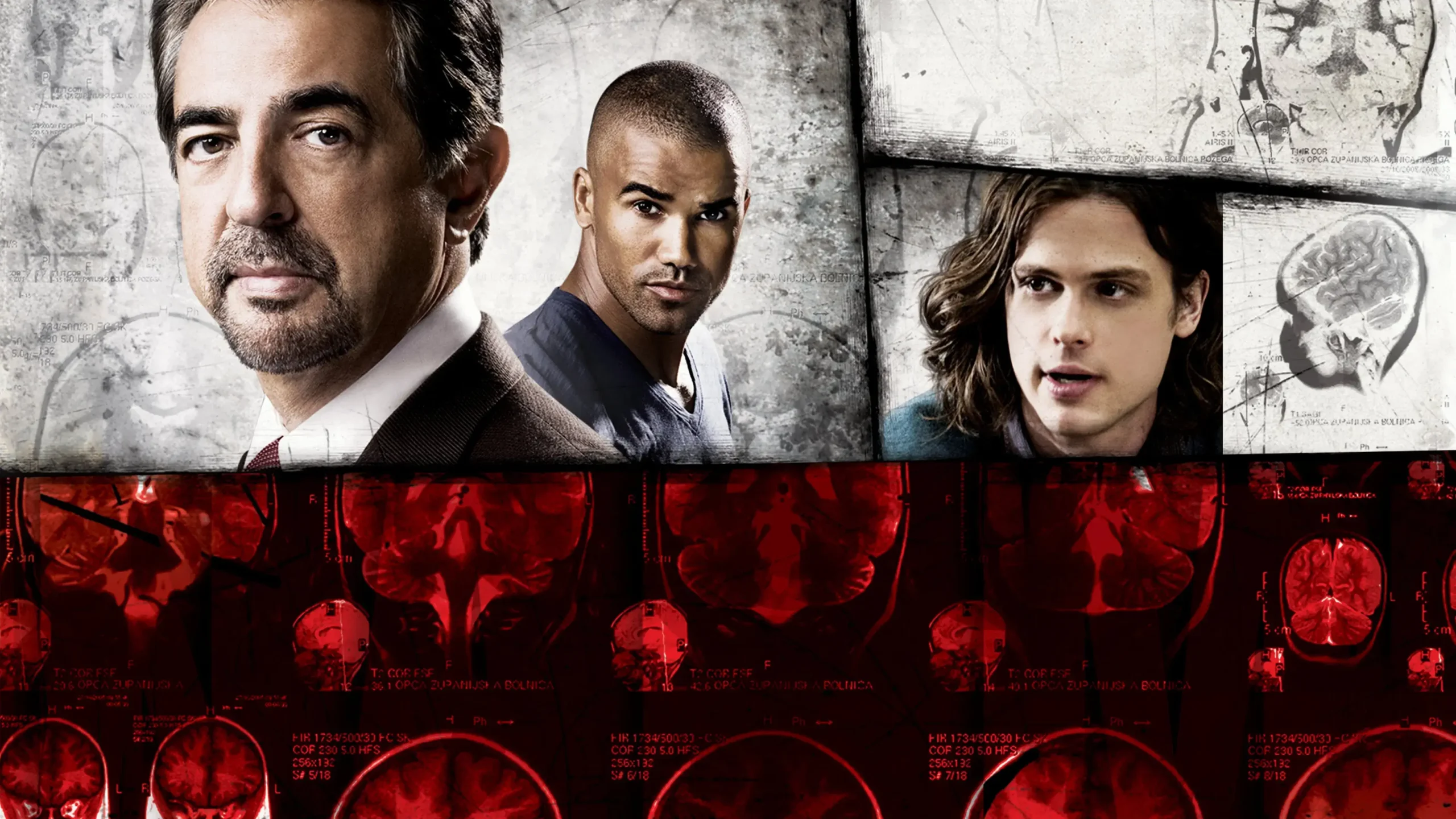 Season 13 Poster