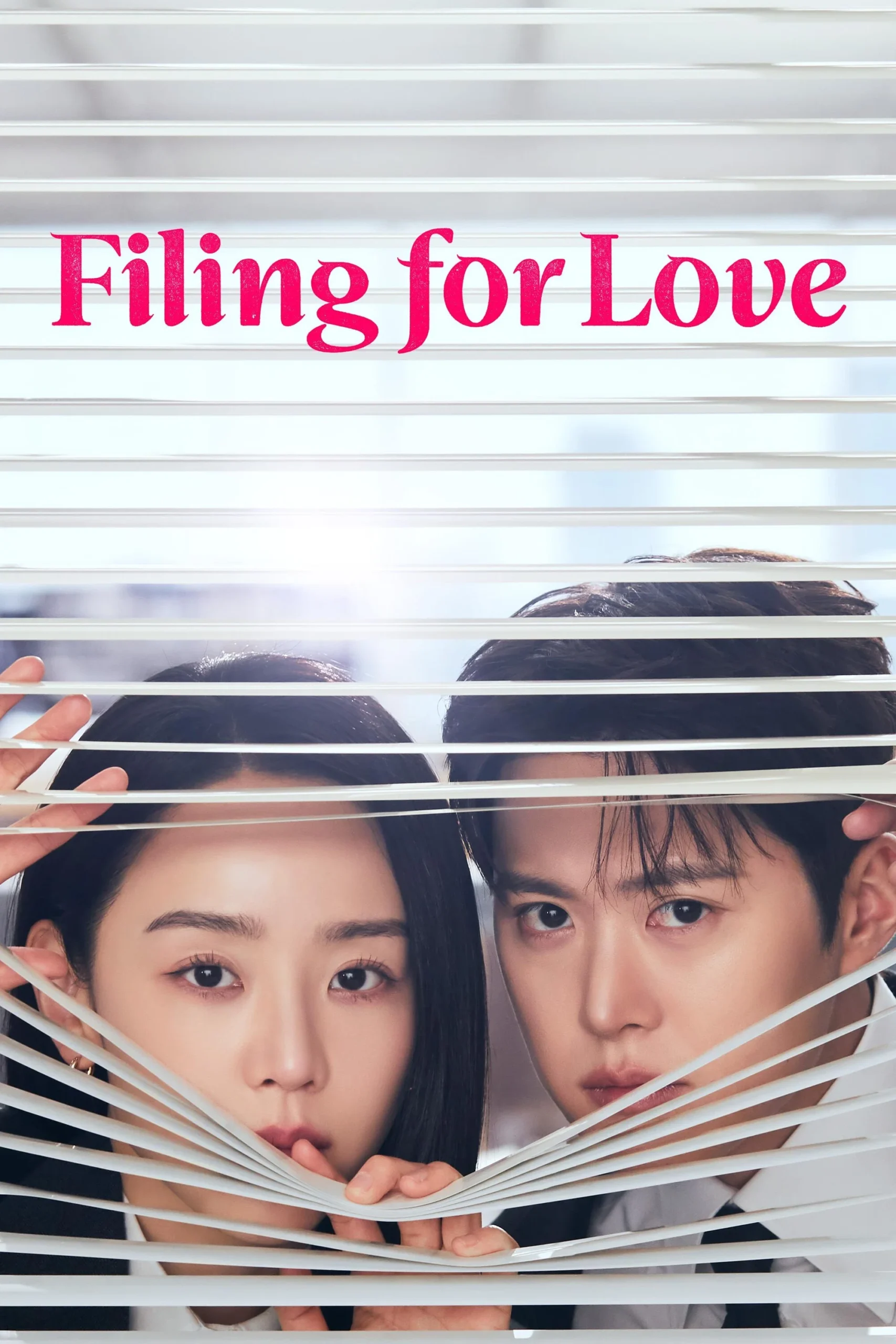 درخواست برای عشق (Filing For Love)