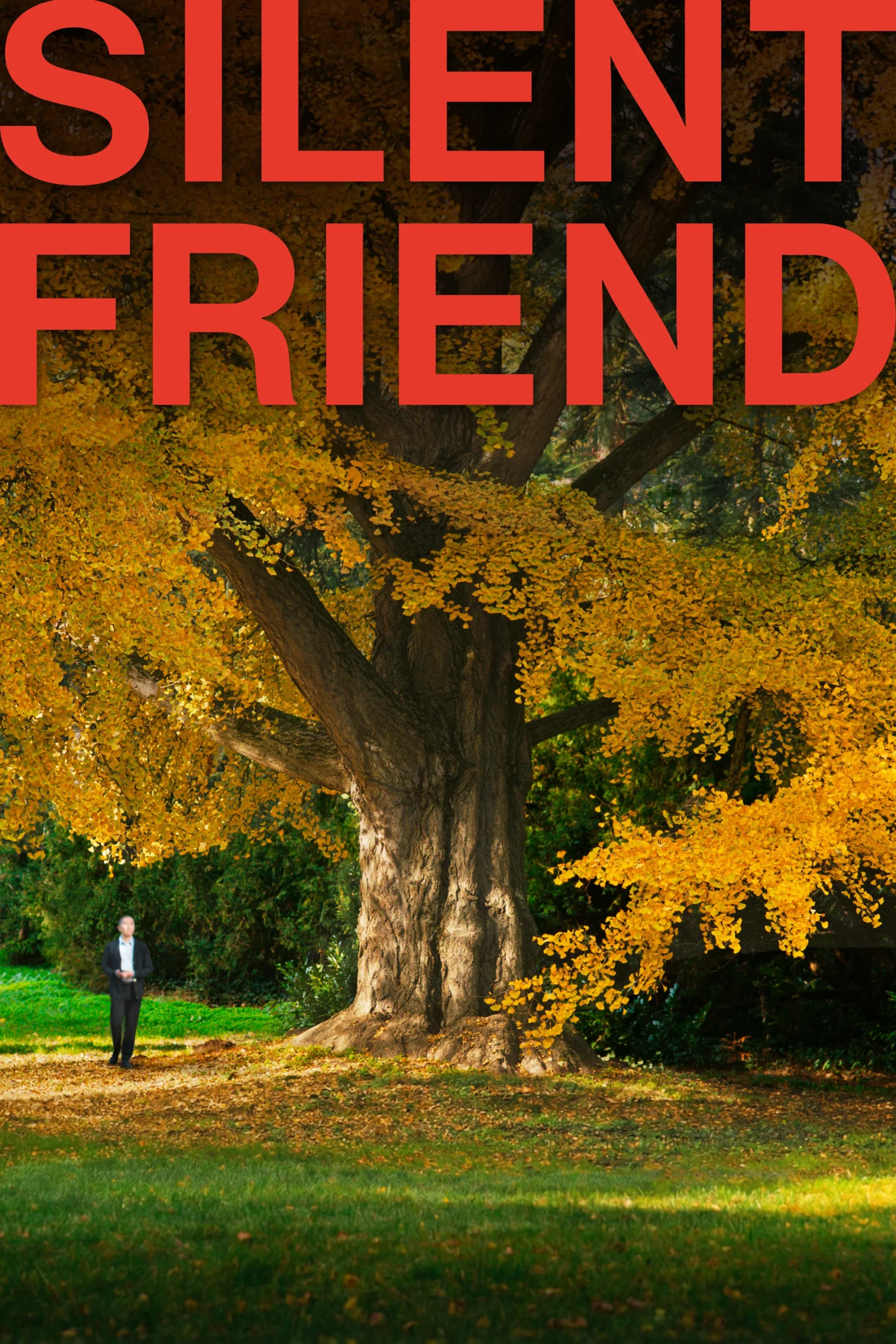 دوست خاموش (Silent Friend)