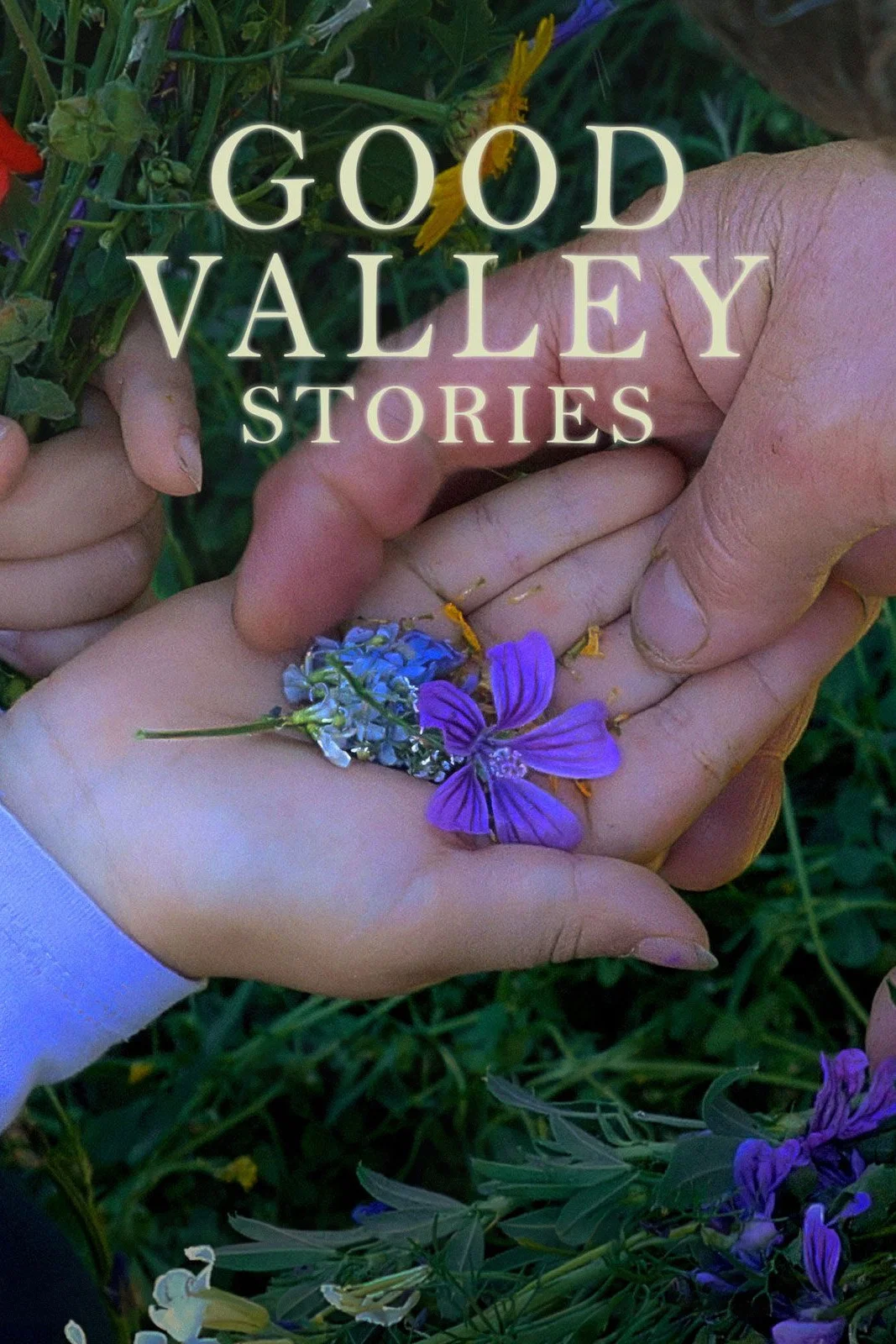 داستان های خوب دره (Good Valley Stories)